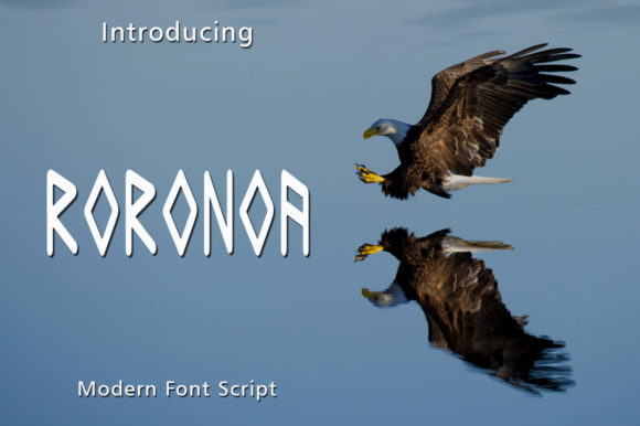 Roronoa Display Font for Creative Product Makers